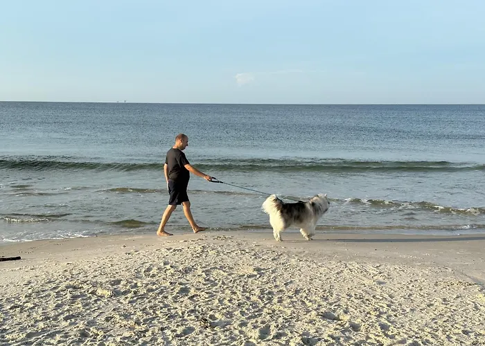 Ft Morgan Bama Belle-beach Access Holiday home *
